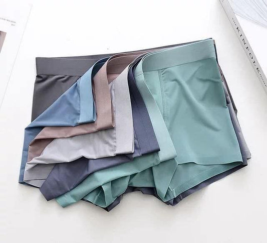 5Pic Men's  Ice Silk Briefs Boxers