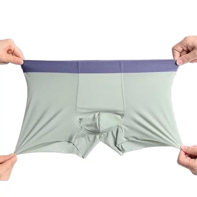 5Pic Men's  Ice Silk Briefs Boxers